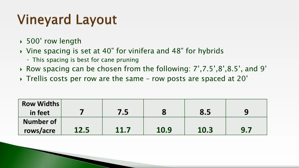 500 row length vine spacing