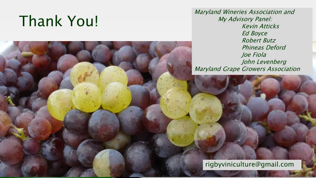 maryland wineries association and maryland grape