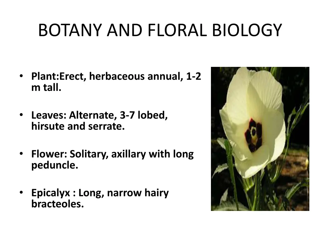 botany and floral biology