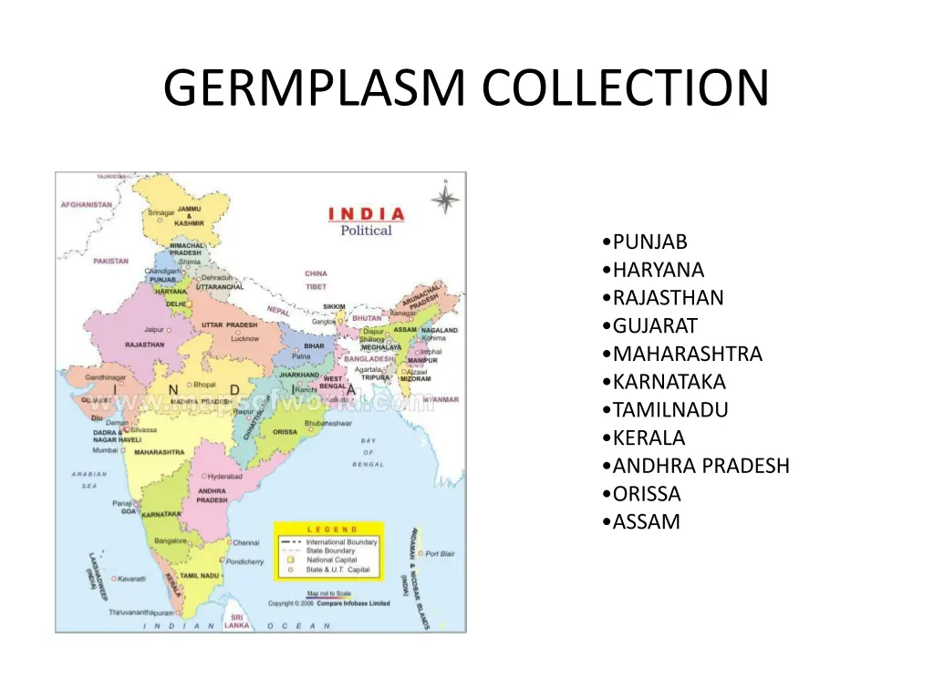 germplasm collection 1