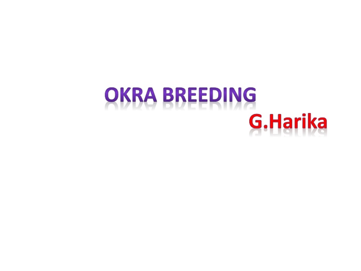 okra breeding