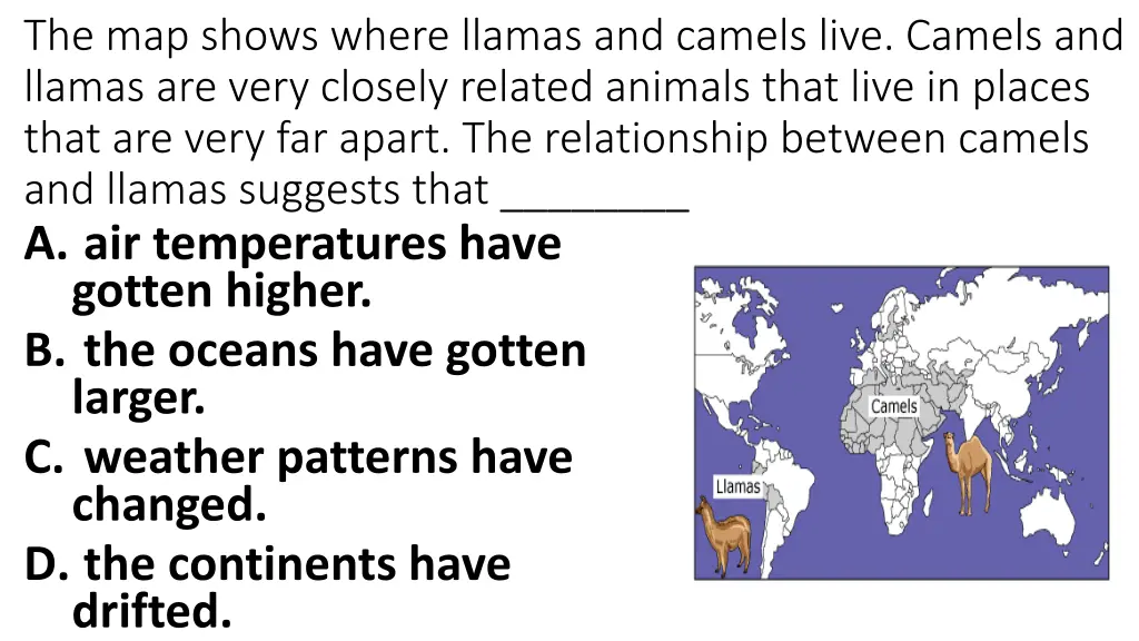 the map shows where llamas and camels live camels