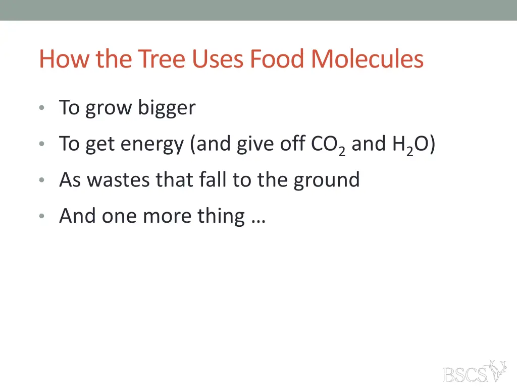 how the tree uses food molecules