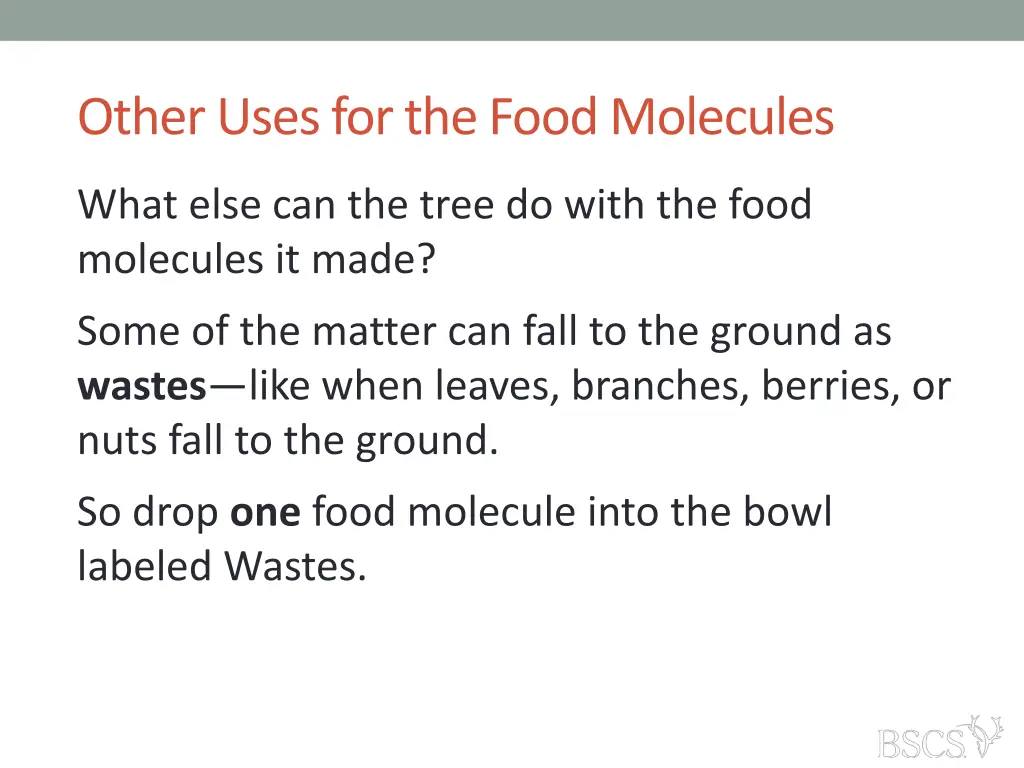 other uses for the food molecules 1