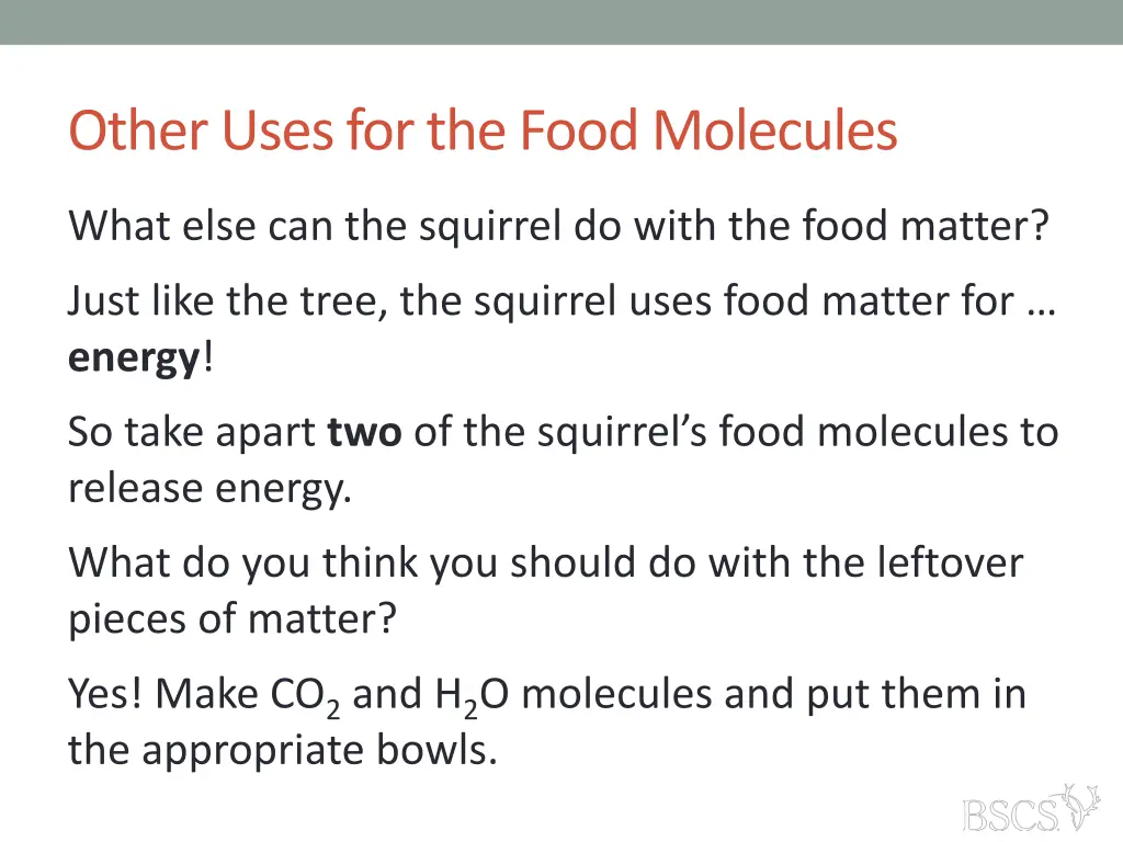 other uses for the food molecules 2