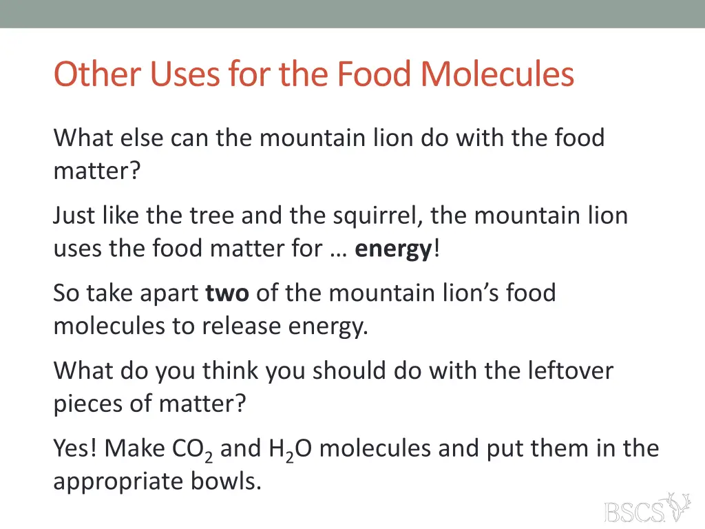 other uses for the food molecules 4