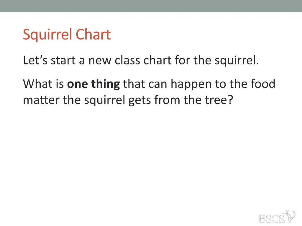 squirrel chart