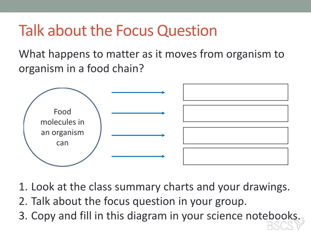 talk about the focus question