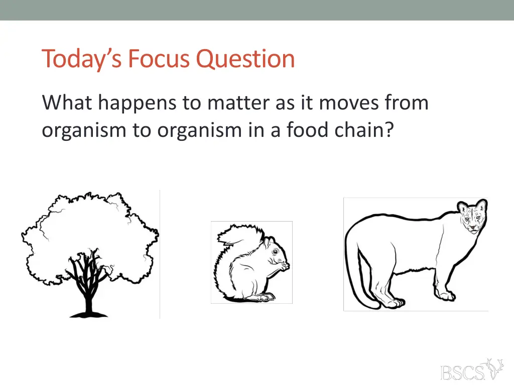 today s focus question 1