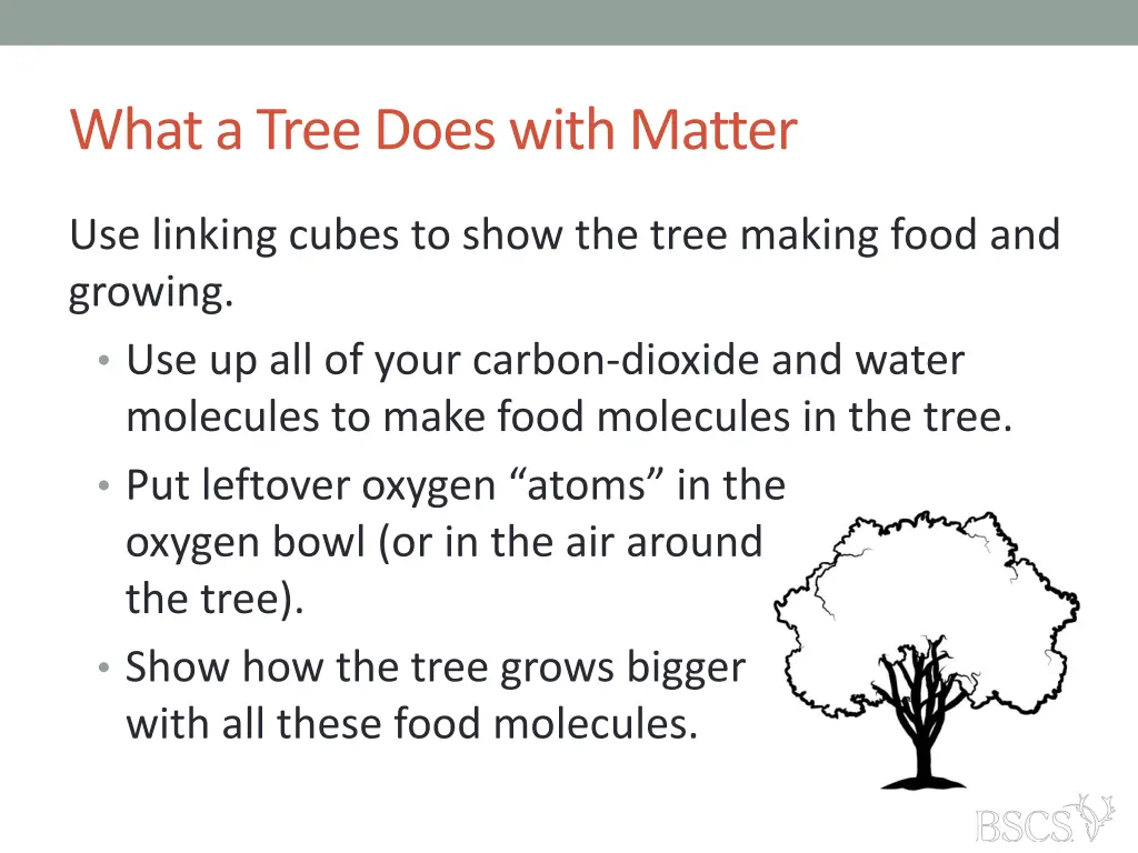 what a tree does with matter