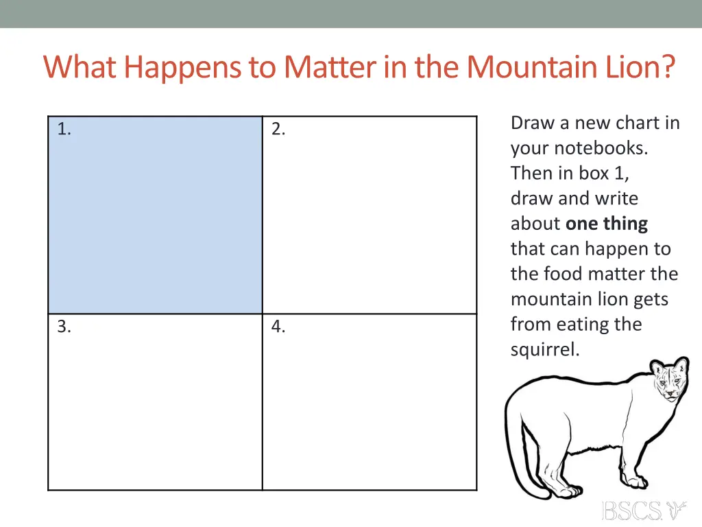 what happens to matter in the mountain lion