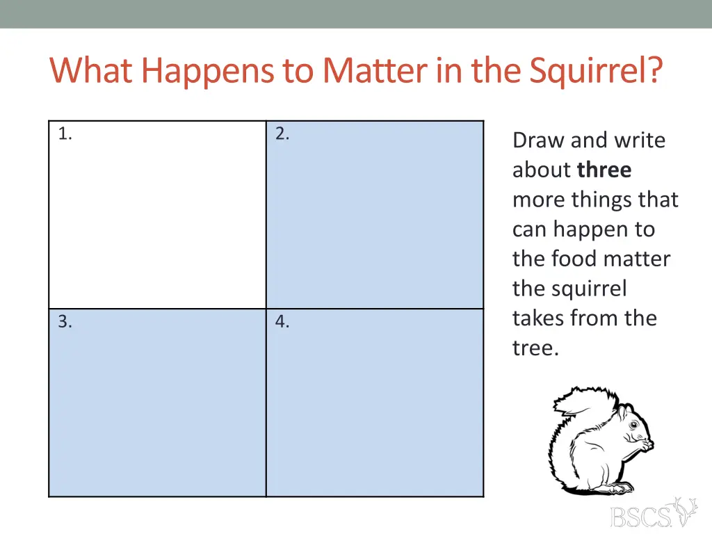 what happens to matter in the squirrel 1