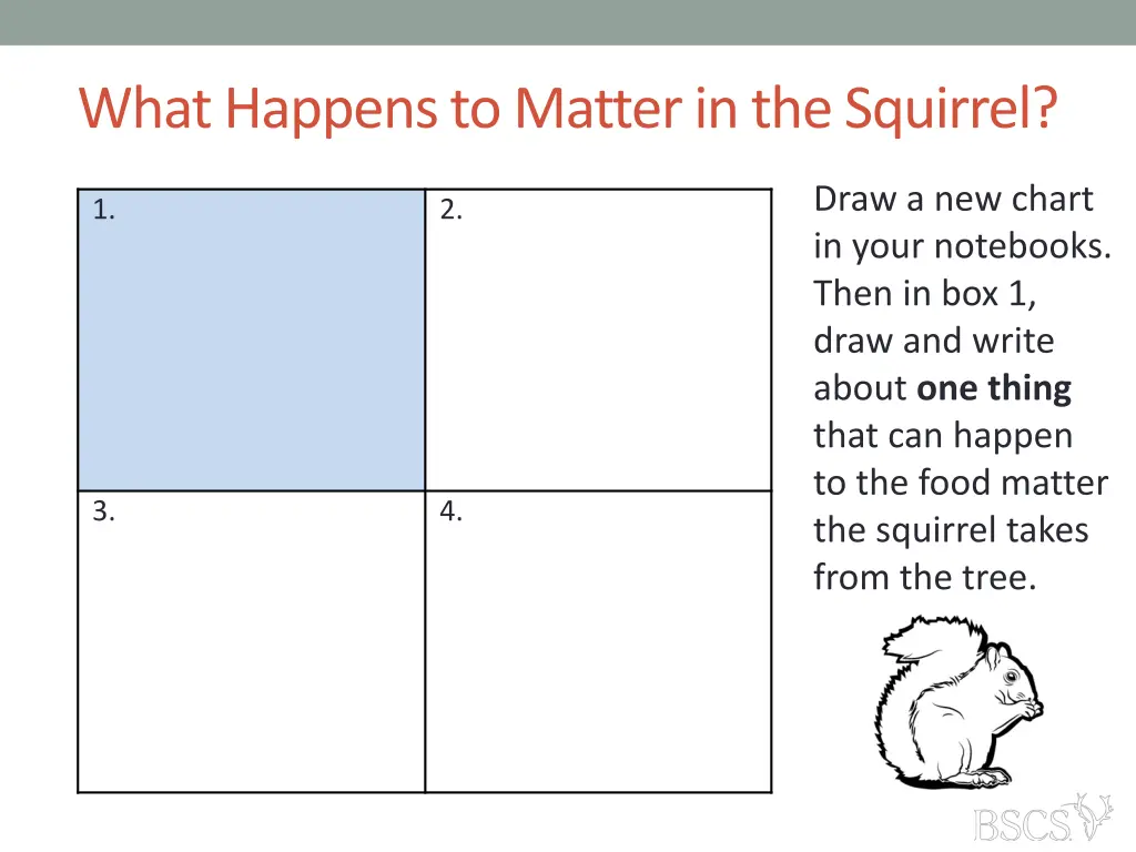 what happens to matter in the squirrel