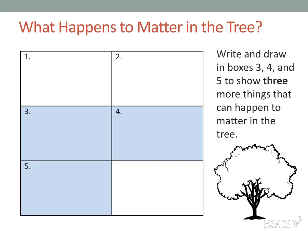 what happens to matter in the tree 1