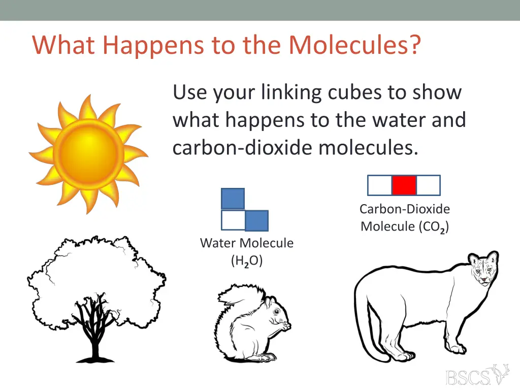 what happens to the molecules