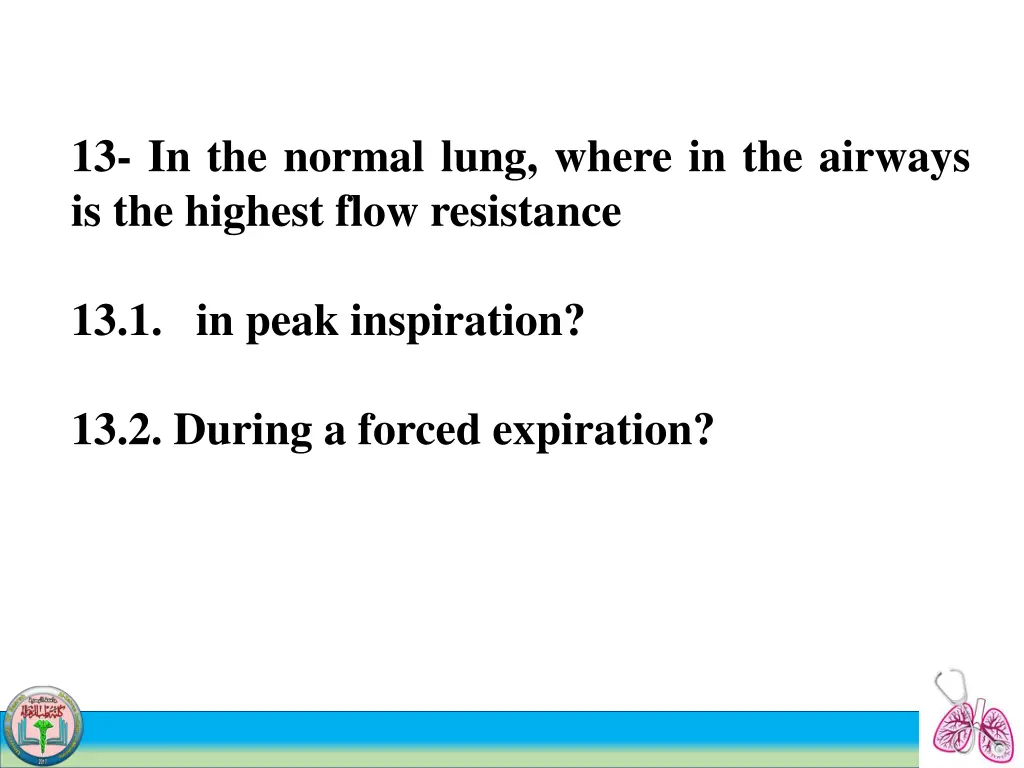 13 in the normal lung where in the airways