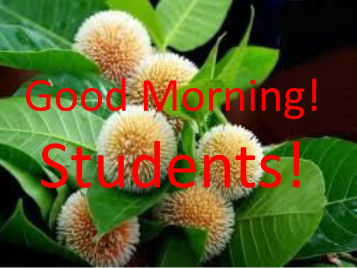 good morning students