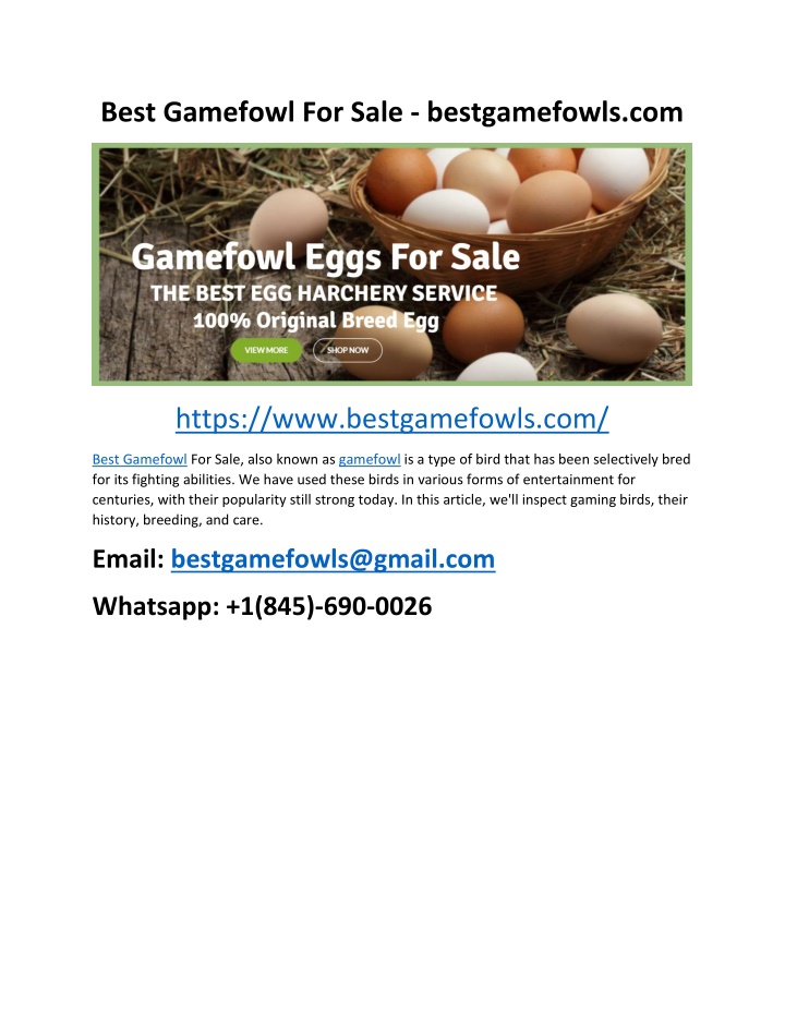 best gamefowl for sale bestgamefowls com