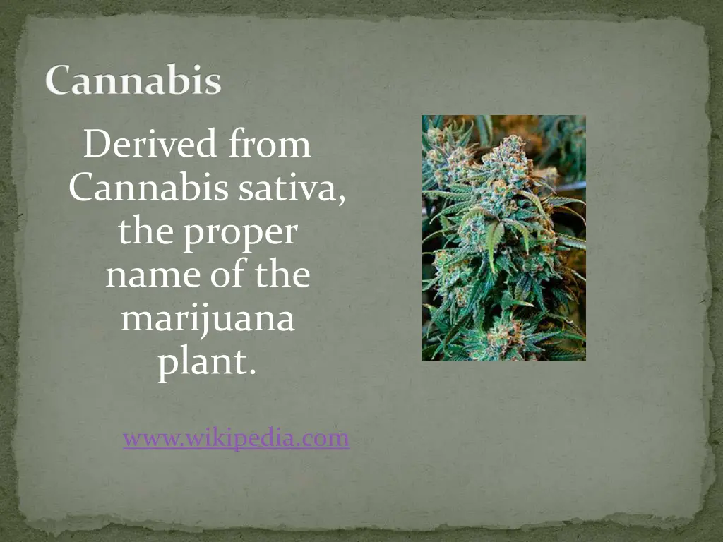 cannabis