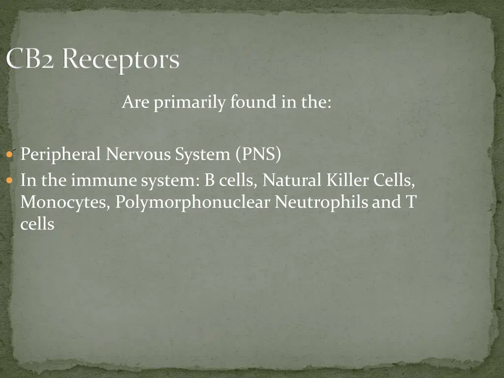 cb2 receptors