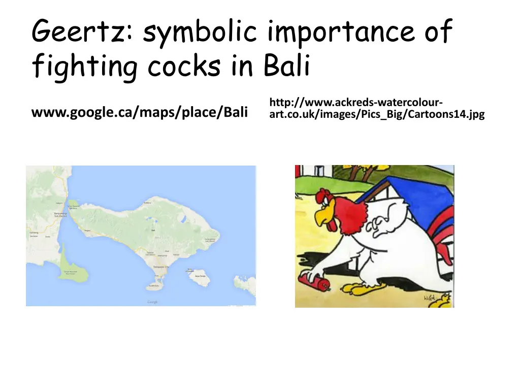 geertz symbolic importance of fighting cocks