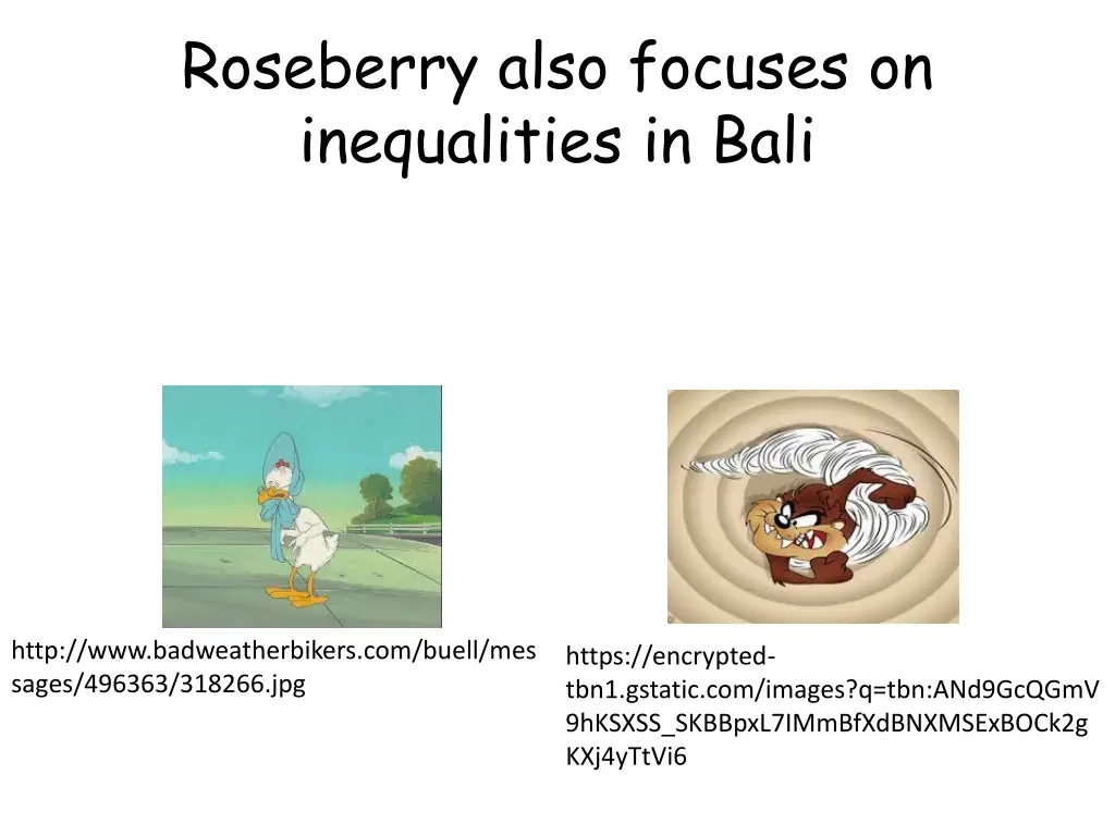 roseberry also focuses on inequalities in bali