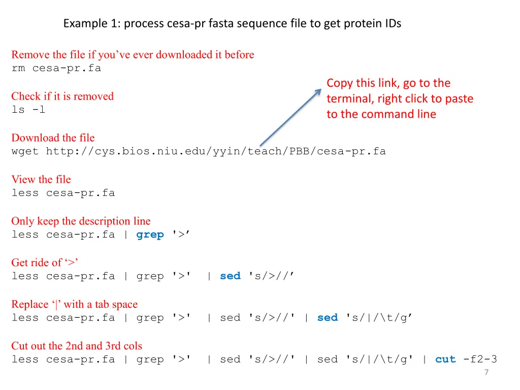 example 1 process cesa pr fasta sequence file