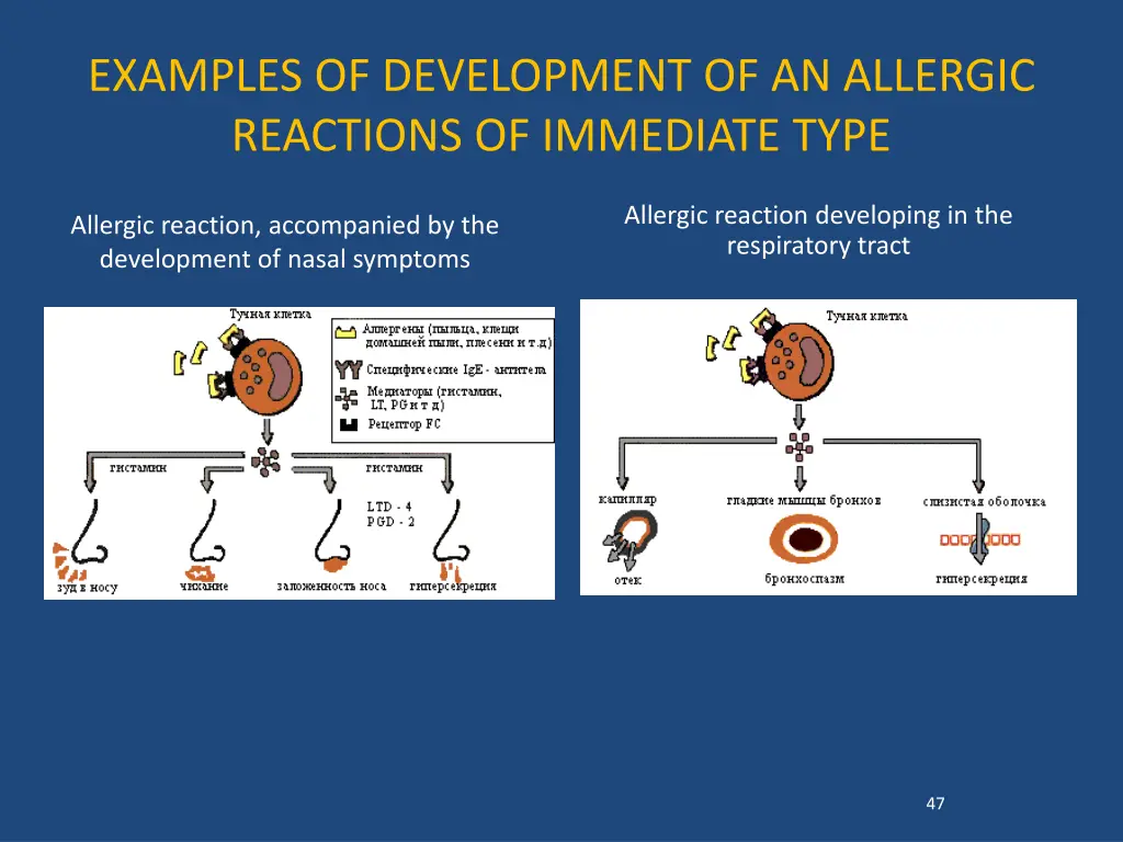 examples of development of an allergic reactions