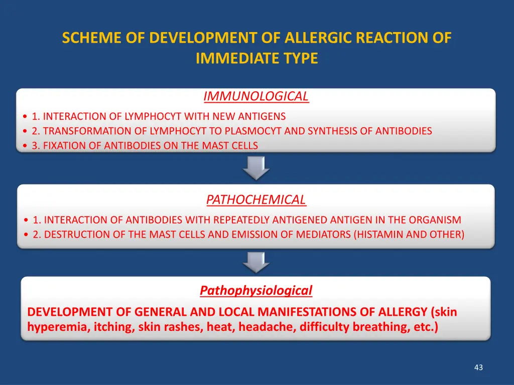 scheme of development of allergic reaction