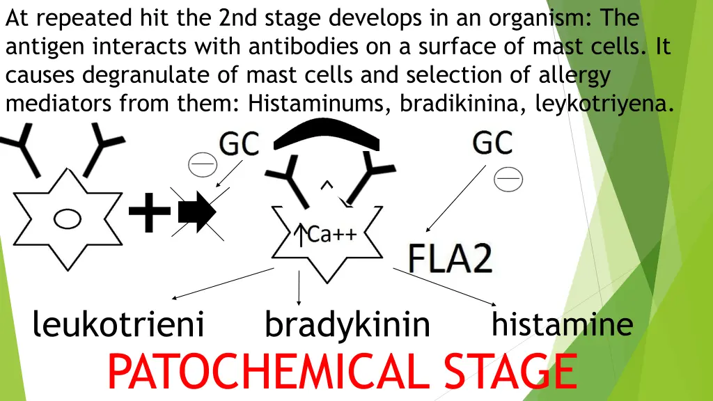 at repeated hit the 2nd stage develops