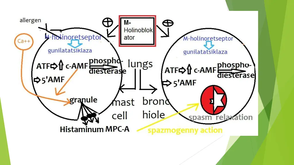 slide32