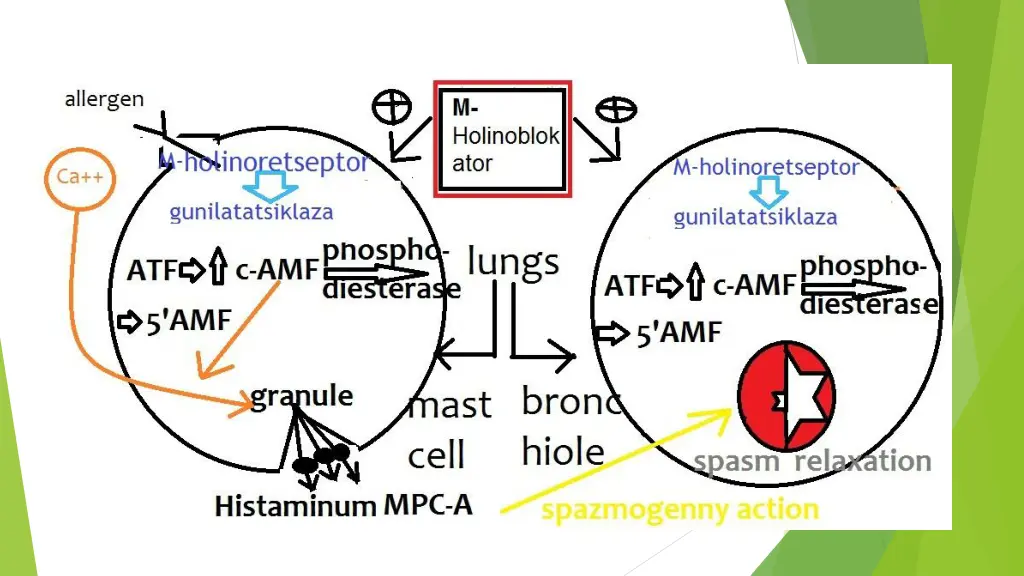 slide36