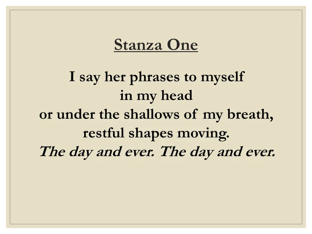 stanza one