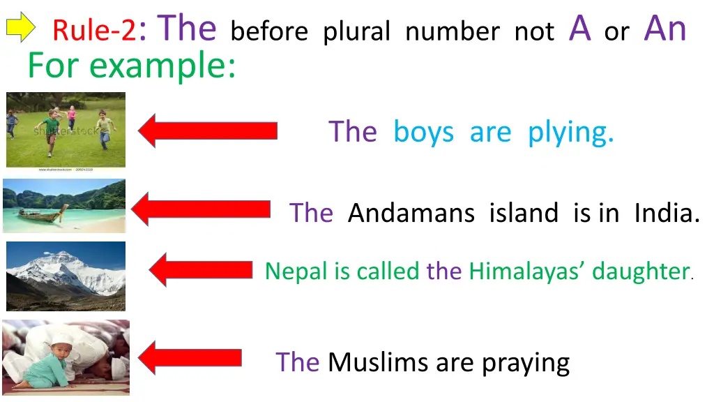 rule 2 the before plural number