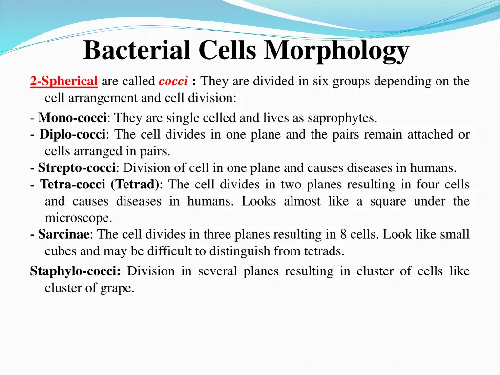 bacterial cells morphology 1