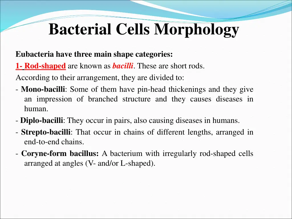 bacterial cells morphology