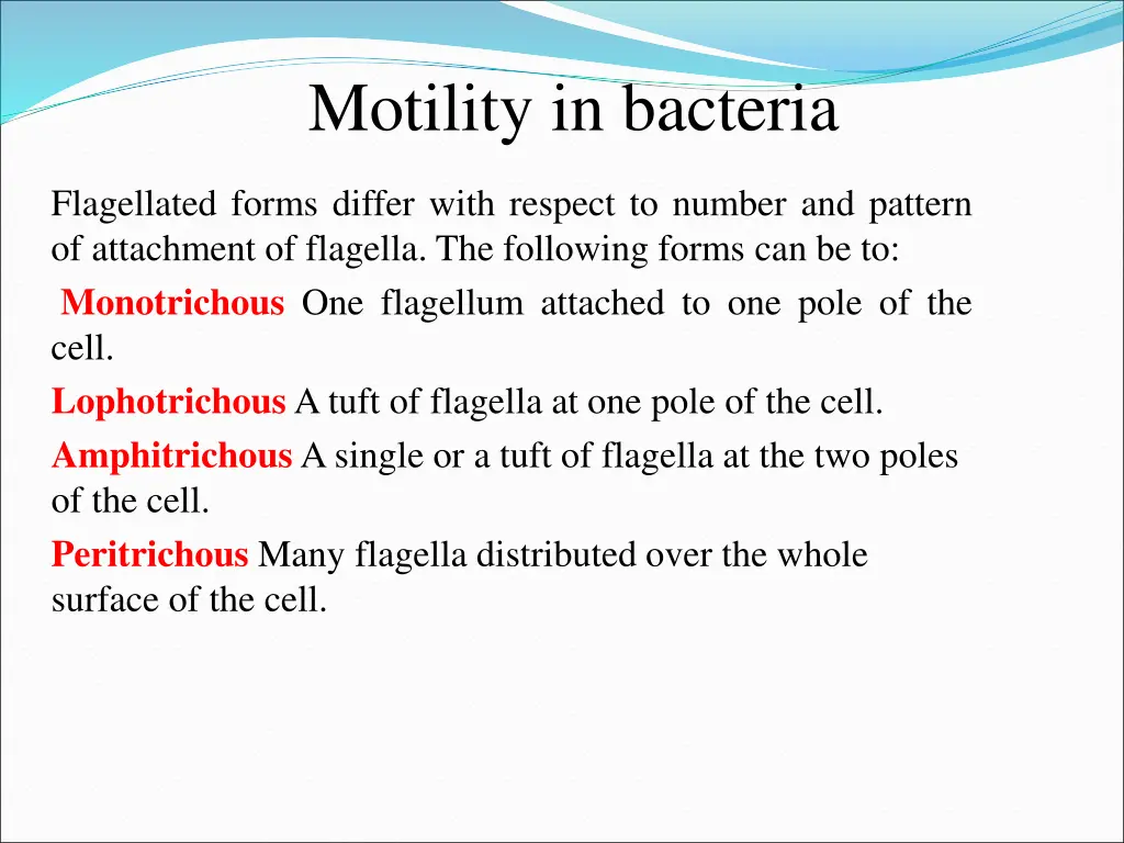 motility in bacteria 1