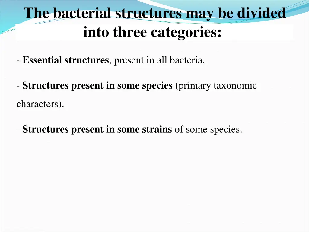 the bacterial structures may be divided into