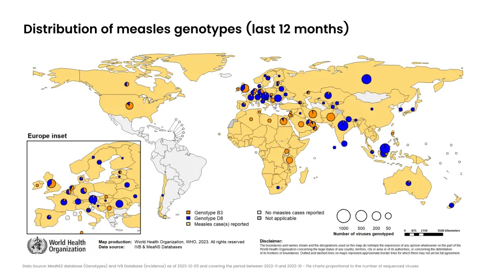 distribution of measles genotypes last 12 months