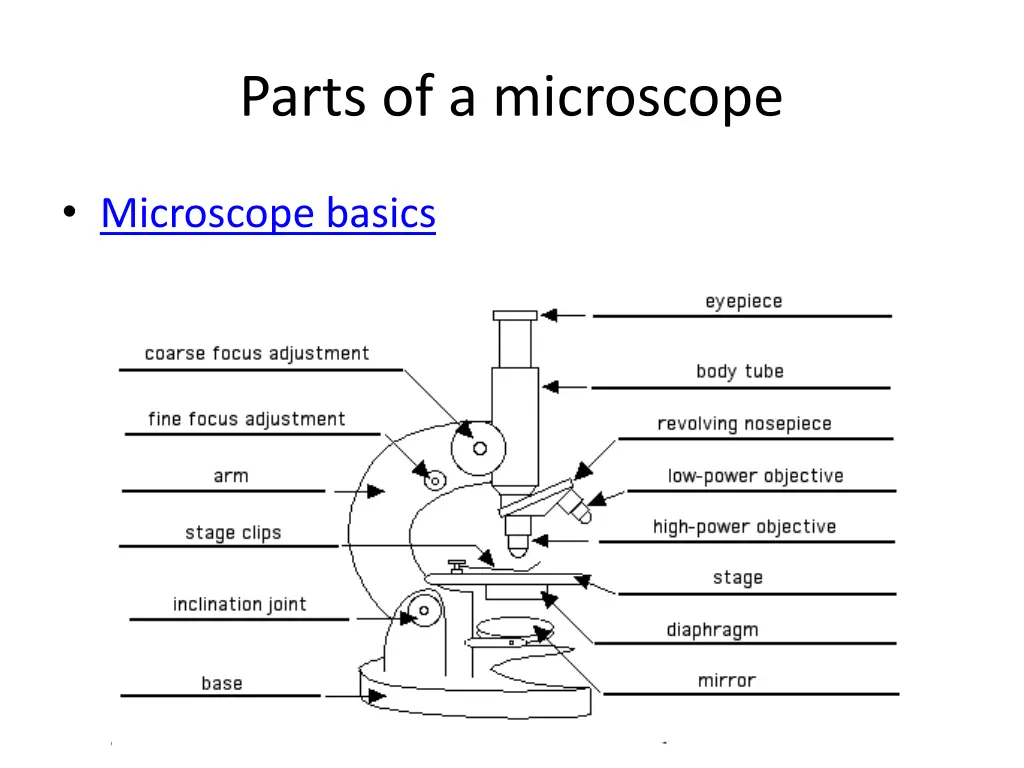 parts of a microscope