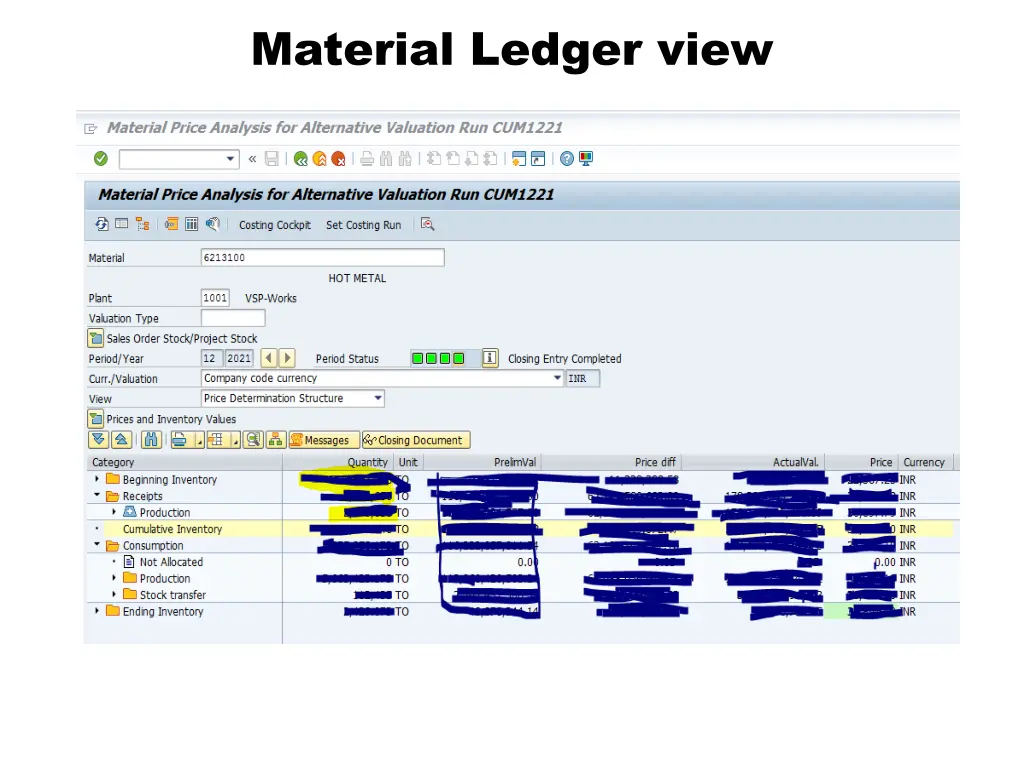 material ledger view