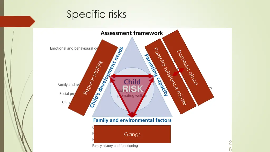 specific risks