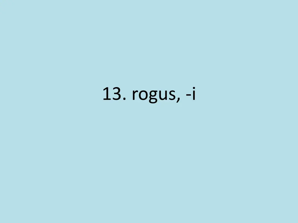 13 rogus i