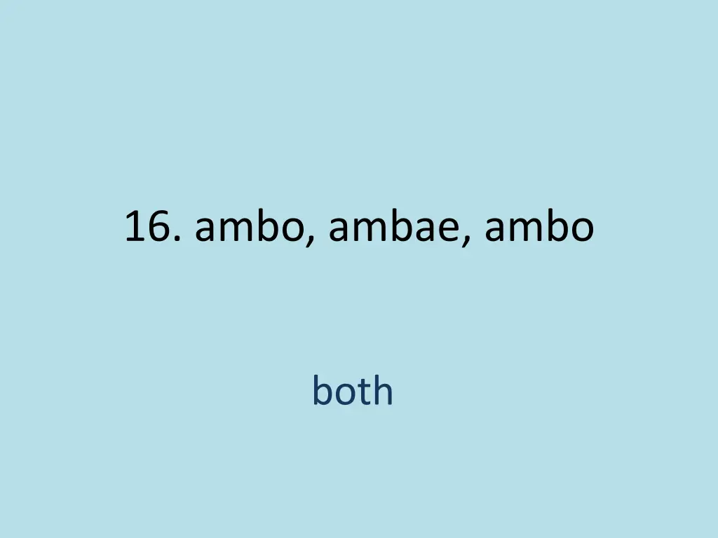 16 ambo ambae ambo 1