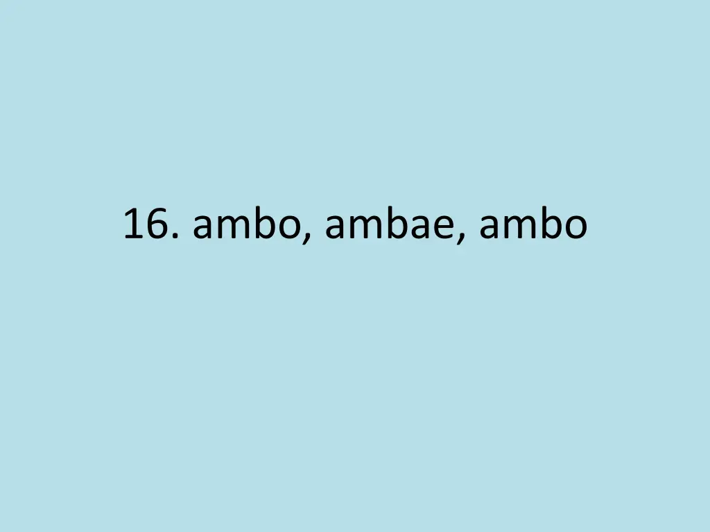 16 ambo ambae ambo