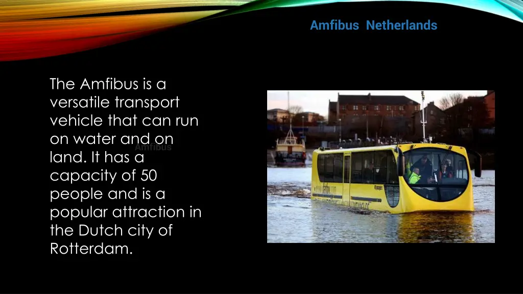 amfibus netherlands