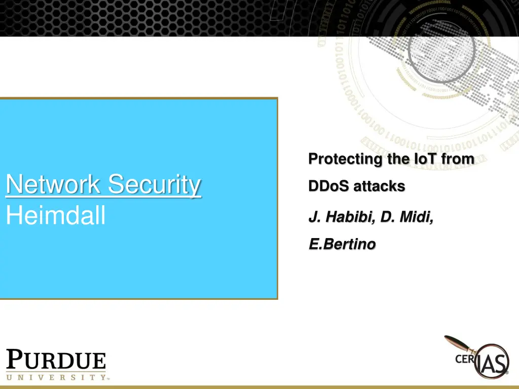 protecting the iot from