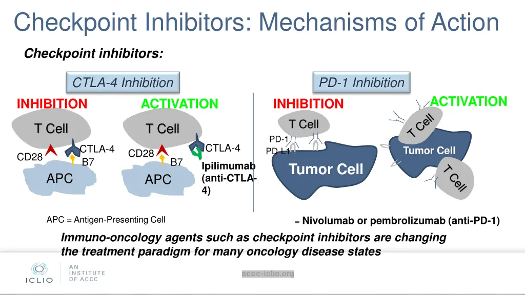 checkpoint inhibitors mechanisms of action