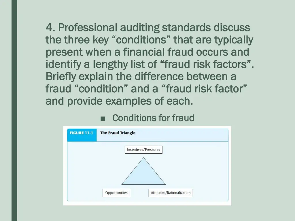 4 professional auditing standards discuss