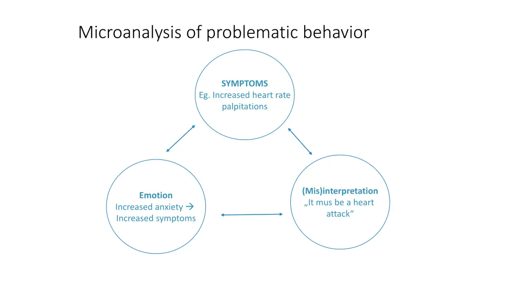 microanalysis of problematic behavior 1